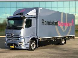 Randstad Bromelias