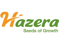 Hazera